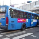 간선-41 이미지