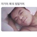 새물목장 | 제주도 2일차
