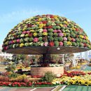 오동동 문화광장 및 공영주차장 이미지