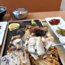 생선선생 이미지