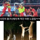 경기사진관 이미지