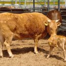 박대성농장 이미지