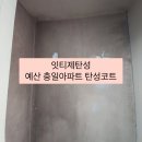 충일 | 예산 충일아파트 베란다 곰팡이 탄성코트 시공후기