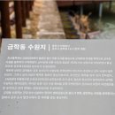 금학 이미지