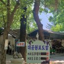 고향집떡방앗간 | 서울대공원역 맛집 Ι 술맛을 부르는 비닐하우스 야장 식당 <대공원 포도밭> 오리고기 맛집