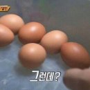 세탁의달인 이미지