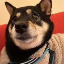 만리재로 이미지