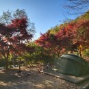 순천시청소년수련원 이미지