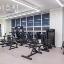 뉴페이스짐 이미지