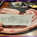 분당-331 이미지