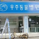 우주동물병원 이미지