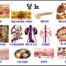 퀀텀파동센타 네이버블로그