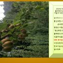 강원똘배랜드(주) 이미지