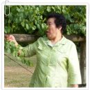 어머니농장