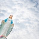 예수의 어머니 성모 마리아의 믿음과 고난과 시련 이미지