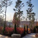 낙성대 숲속공원 이미지