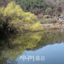 두루마루