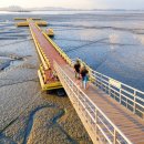 빨간바다 이미지