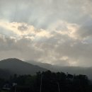 일어나라 _ 박목월(朴木月) 이미지