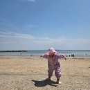 거제요트학교 | 거제 소노캄 스탠다드패밀리클린 아기랑 숙박 후기, 갈매기 투어 체험