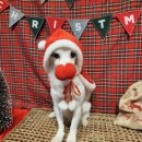 스테이인터뷰 노호 | 세종 애견동반 숙소 -스테이인터뷰 노호 w.김돌체 💖