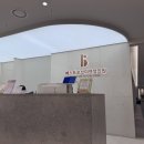 베스트오브미 시험관 후기(1) 강남차병원에서 전원, 난자 8개 채취