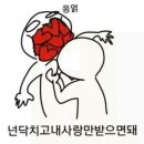 희주 Daum카페