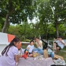 남매의보물창고 | <서울숲 포켓몬 시크릿 포레스트> 후기 | 예약 방법, 굿즈, 포토존, 서울숲 놀거리 총정리
