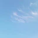 합강오토캠핑장 A12구역 식기세척장 외벽 | 세종 합강오토캠핑장 카라반