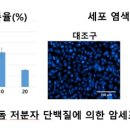 수산대장