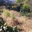 신세기공인중개사사무소 이미지