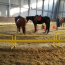 춘천승마장 이미지