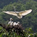 백로마을 이미지