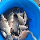 한탄강낚시터 이미지