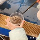 초리꽃펜션 | 경기도 파주 초리꽃펜션 방문기, 초리골 눈 썰매장 갔다가 1박,아이동반 가족여행.