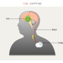박재활운동센터 이미지