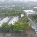 가평군청 2청사 (1층) 이미지