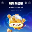 돼지저금통 - 영천시 문화새길 25 | 돼지저금통