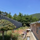 6월 1~3일 일지 (어가, 명보시네마, 봉채국수, 카페...카페, 보령 개화마을(개화예술공원), 바둑이네 후기)