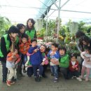 개정꽃농원 이미지