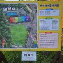 행복을 그리는 한국화 | 폐교를 유아 체험학교로 ? 부여해아뜰 5세아이랑 주말방문 후기