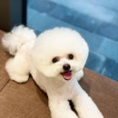 수색동물병원 이미지