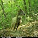 국립공원공단 국립공원야생생물보전원 북부보전센터 이미지