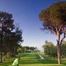 글로리아골프 이미지