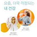 구미구미 | 코스트코 인기템 센트룸 멀티구미 후기