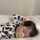 장승포농협 하나로마트 아주점 | [거제] 6개월 아기랑 거제 바람의언덕 리조트 솔직후기(+해금강회센터 회포장!)