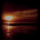 페이지(page) 이미지