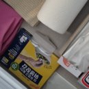 키즈풀빌라 아이놀자 이미지