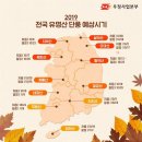 에듀나무 이미지