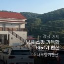 소나무향기펜션 | 거제도 낚시펜션 소나무향기펜션 내돈내산 추천 후기